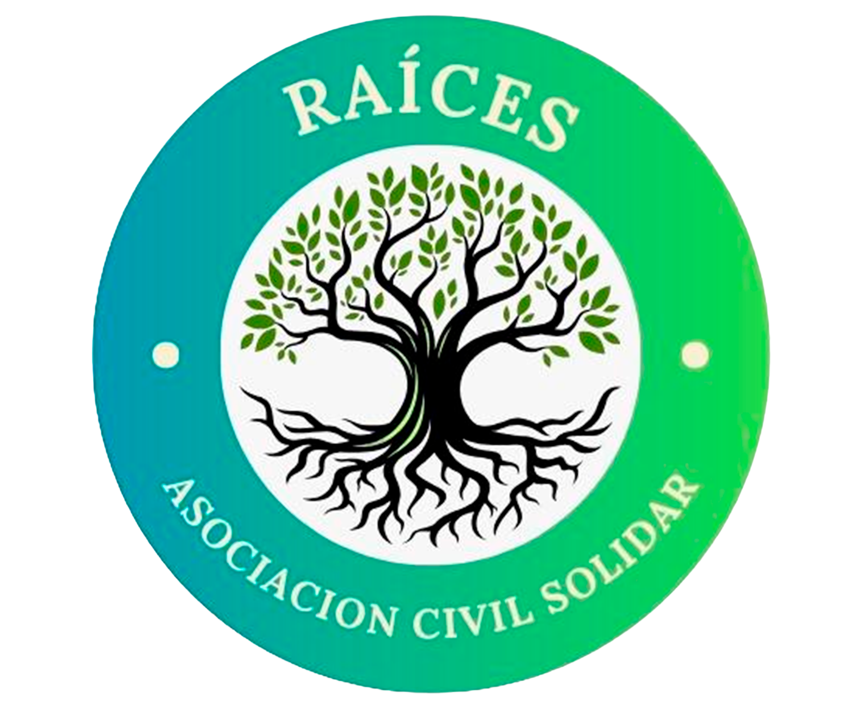 Raíces — Asociación Civil Solidar